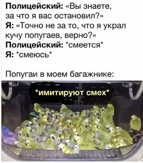 Жизненные картинки с надписями смешные до слез