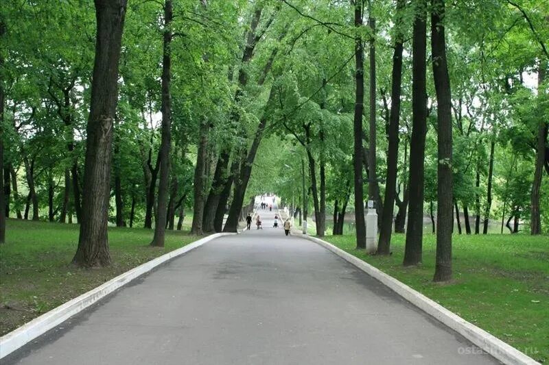 Главная аллея лефортовского парка. Измайловский парк измайлово. Липовая аллея 15. Аллея по ул горького. Измайловский парк пкио.