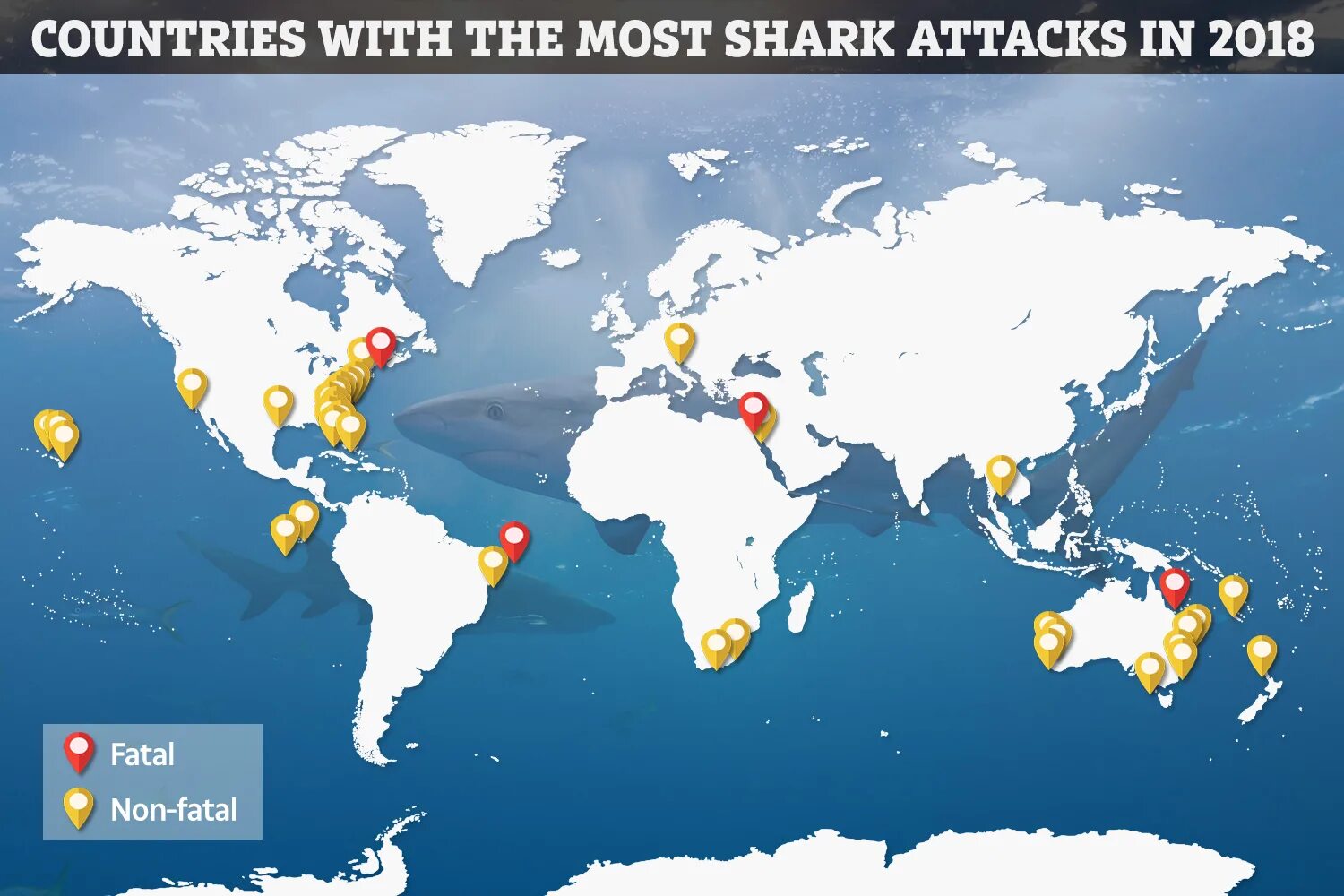 Места нападения. Карта нападения акул. Места нападения акул на карте. Карта нападения акул в мире.