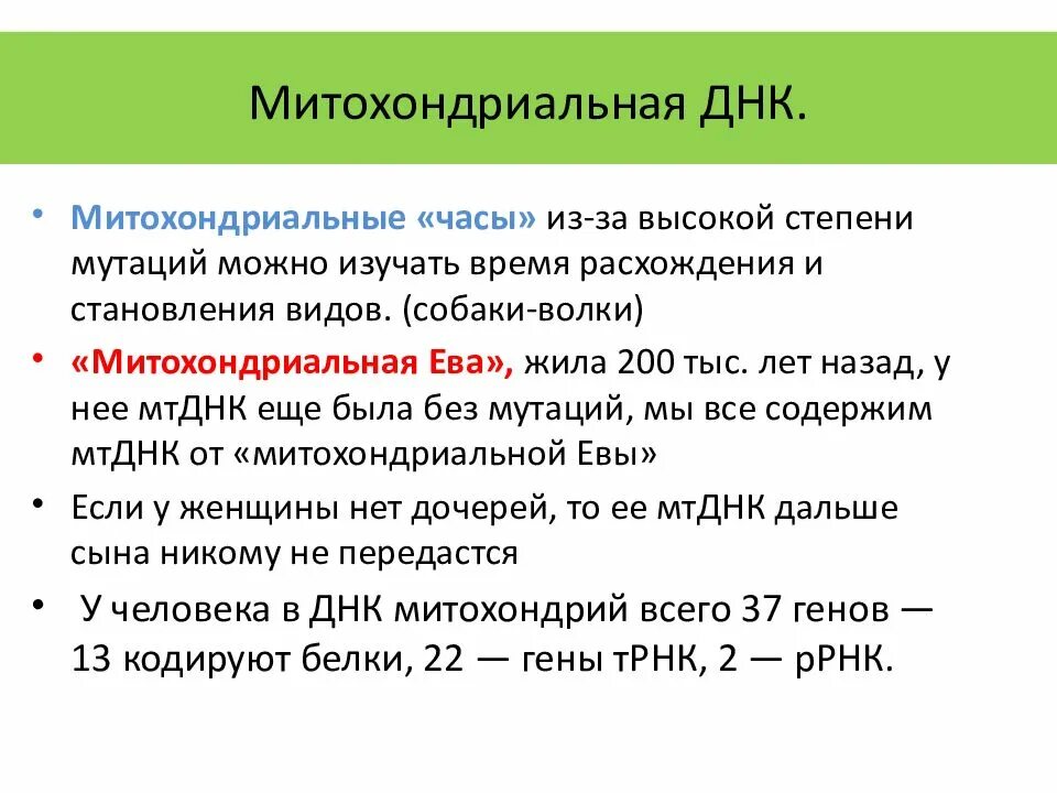Определение последовательности митохондриальной днк неандертальца. Гипотеза митохондриальной евы. митохондриальная днк. митохондриальная днк собаки.