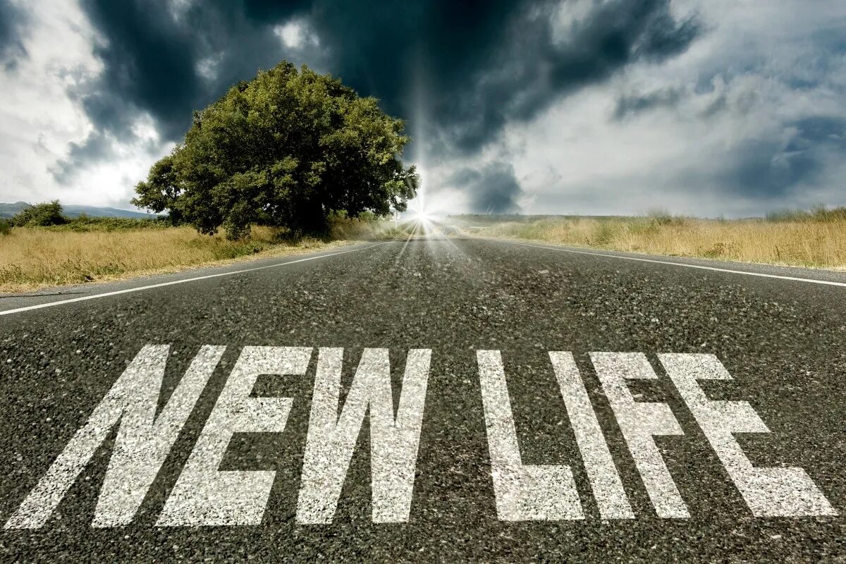 Start a new life. New Life картинки. New Life надпись. New Life обои на телефон.