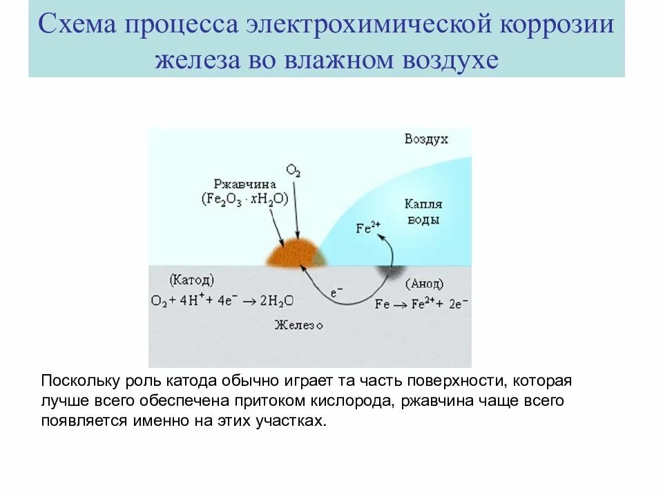 Во влажном воздухе железо со временем. Схема электрохимической коррозии металла. Электрохимическая коррозия уравнение реакции. Схема коррозии оцинкованного железа. Схема процессов коррозии железа.