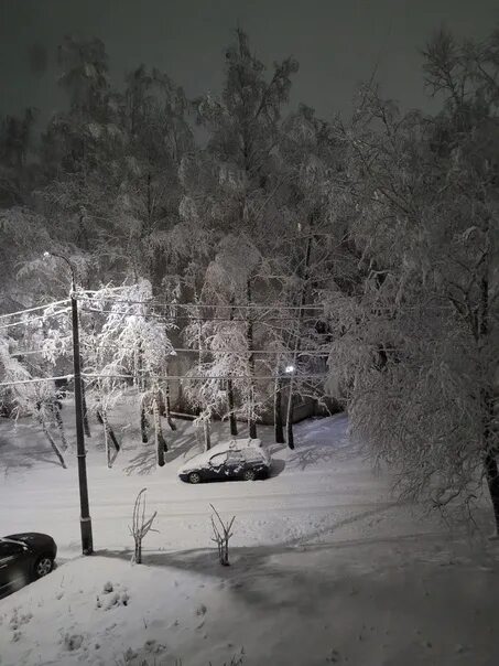 Не видевшие нашей зимы. Зима в Видном. Видное зимой. Г. Видное зимой. Город Видное зимой.