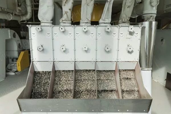 Перерабатывающий завод подсолнечника. Переработка семян подсолнечника. Масленичные семена. Переработку семечки. Переработка подсолнечника.