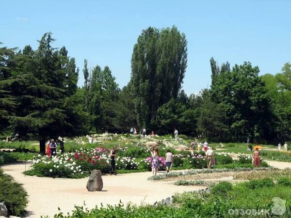 Парк симферополь адреса. Парк тну симферополь. парк вернадского симферополь. воронцовский парк симферополь. салгирский парк симферополь.