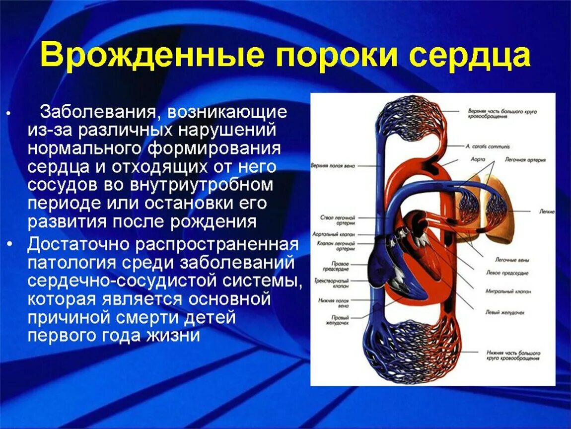 1.Следствием чего являются врожденные пороки сердца?. Врожденныепопроки сердца. Врожденный порог Серда. Вражденный порог серца.