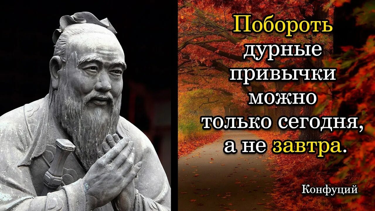 Мудрые цитаты со смыслом конфуций. Конфуций высказывания. цитаты конфуция. конфуций мудрые высказывания. побороть дурные привычки можно только конфуций.