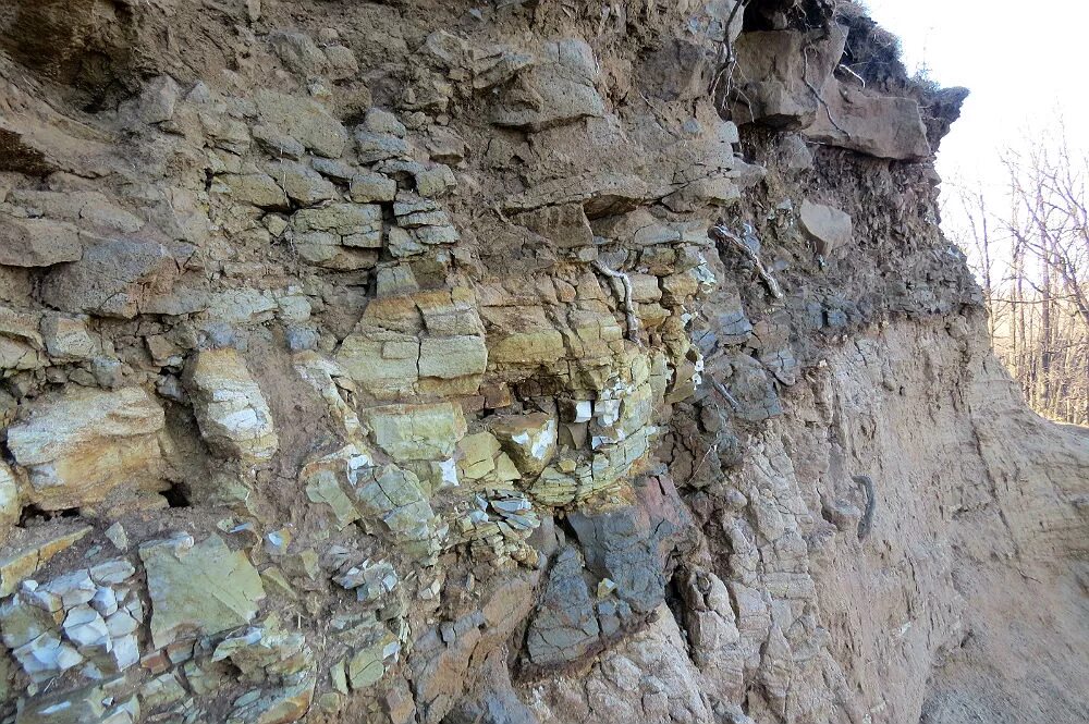 Мергели это в геологии. Коллинеарные лежат либо на 1 прямой либо на параллельных прямых. Пласт чего либо лежащий. Схема залегания горных пород. Слой пласт геология.