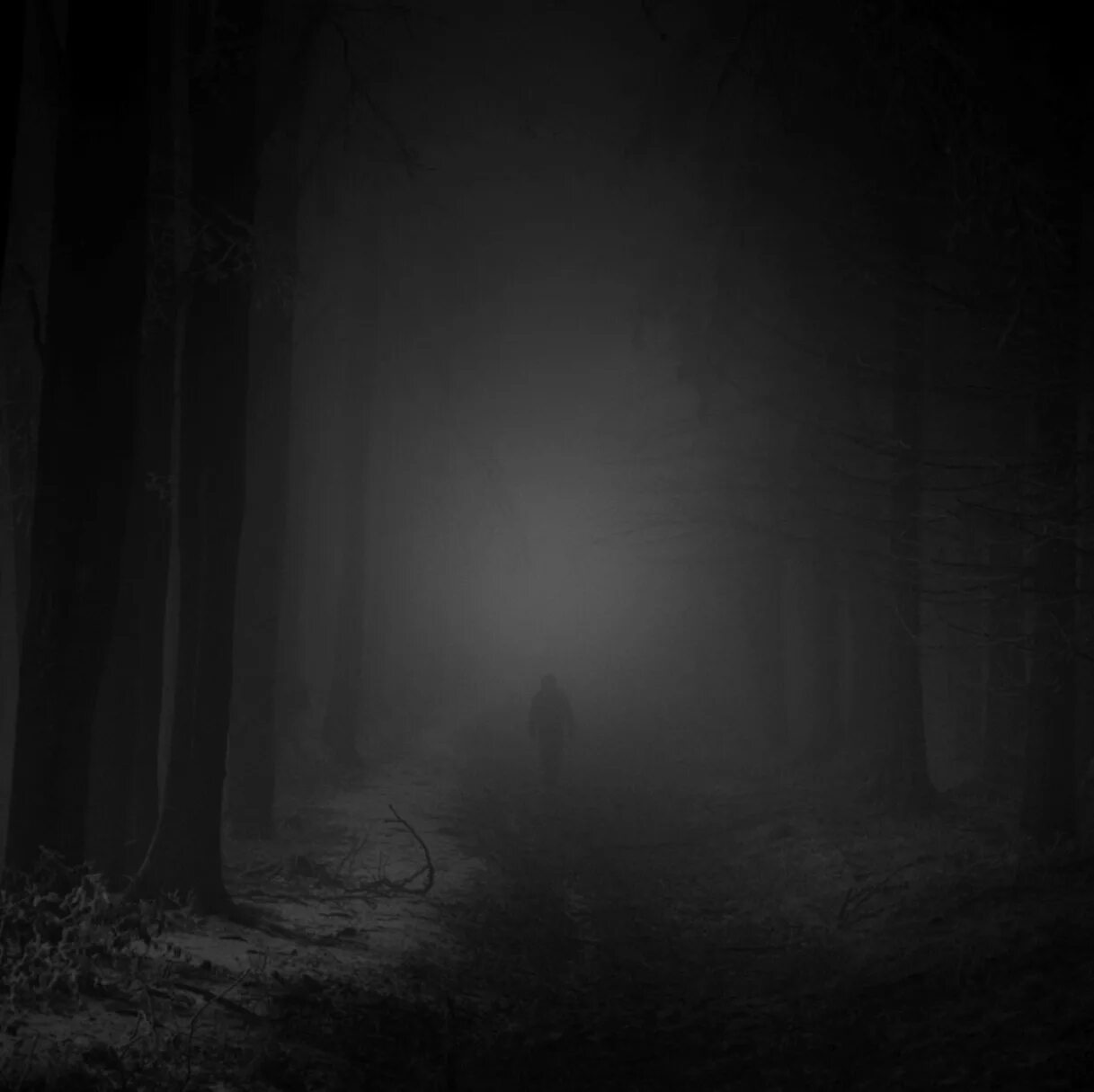 Темнота. Полный мрак. Темнота мрак. «Ночь в лесу». Темнота dark