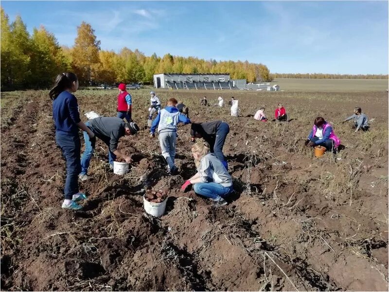 Погода ользоны. Покровская школа Баяндаевский район. Баяндаевская СОШ Баяндаевский район. Иркутская область Баяндаевский район Покровская СОШ. Село Хогот Баяндаевский район Иркутская область.