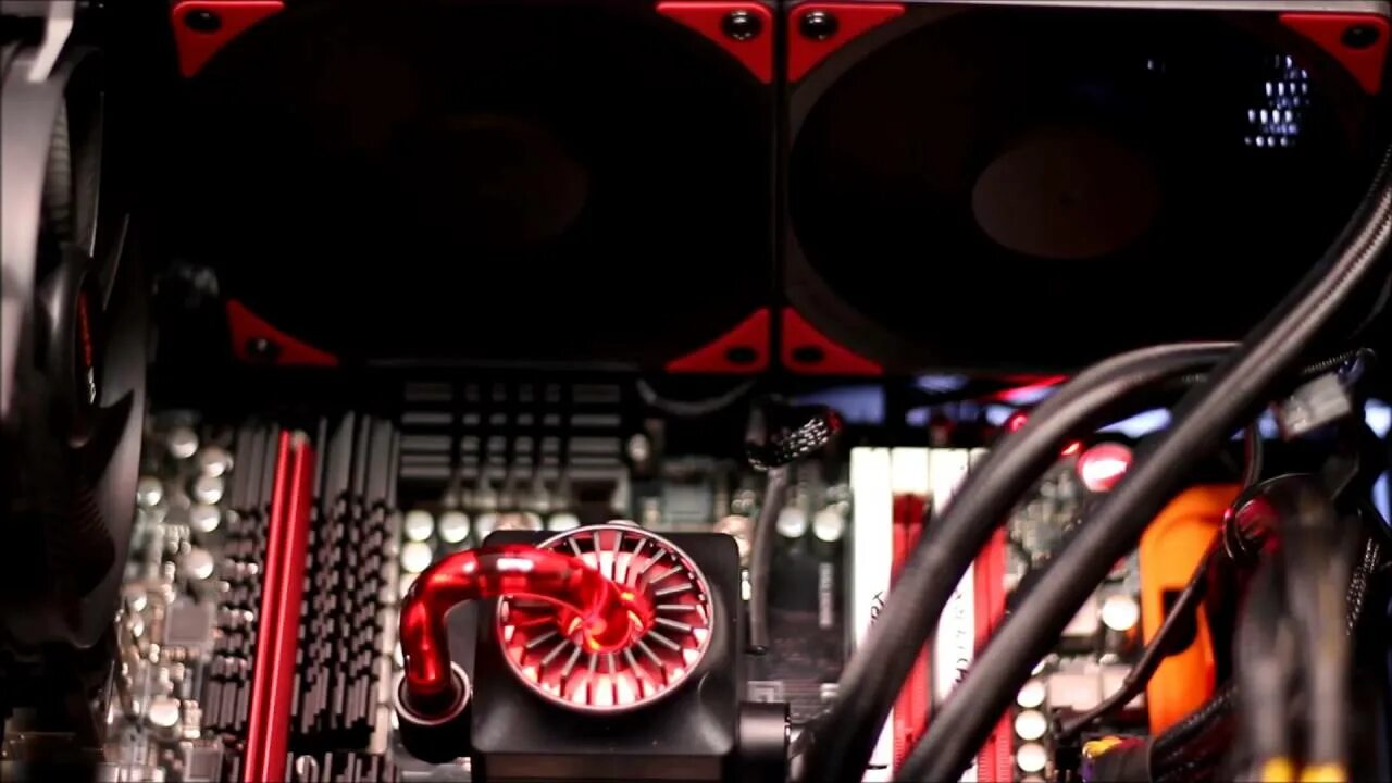 Niall greig fulton. Максим кириллов вратарь тюменский легион. Капитан фазма вооружение. Тренер александр ярунов тюмень. Captain ex.