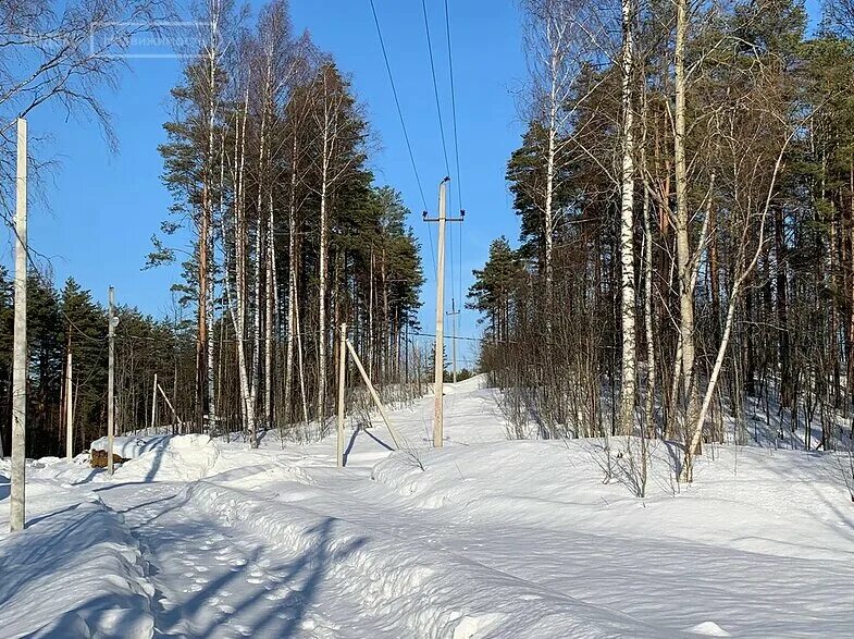 прогноз в новом токсово. лыжная трасса динамо в токсово. прогноз в новом токсово. токсово подворье. соревнования по лыжам токсово лен.