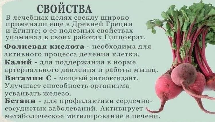 С какого возраста можно редьку ребенку