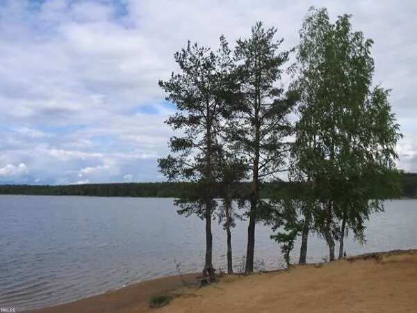 Курголовский берег. Курголовское озеро. Курголовское озеро в Токсово. Курголовское озеро пляж. Озеро Кругловское Ленинградская область.