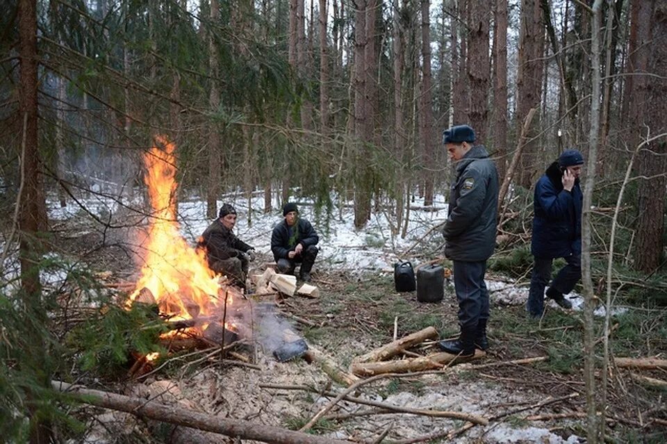 Вред охотничьим ресурсам