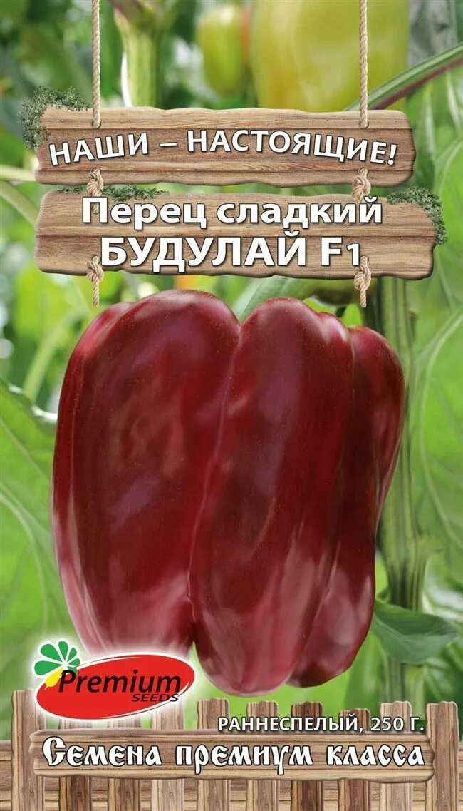 Семена алтая перец фиолетовый. Перец сладкий кубышка характеристика и описание. Перец будулай фото. Перец будулай описание. Перец будулай отзывы.
