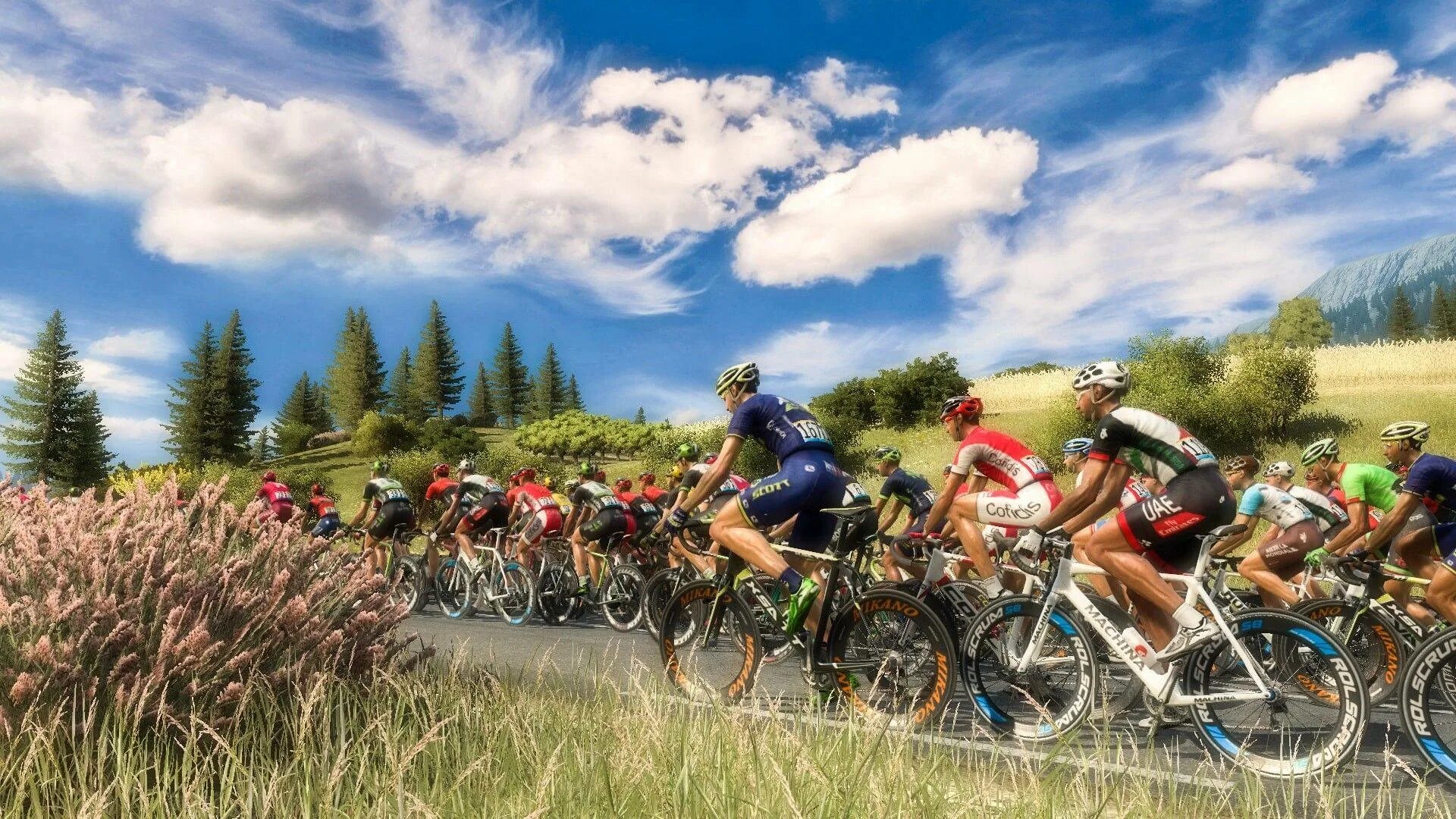 Де франс велогонка. Велосипедная гонка тур де франс. Tour игра. Велоспорт шоссе. Зе сайкл.