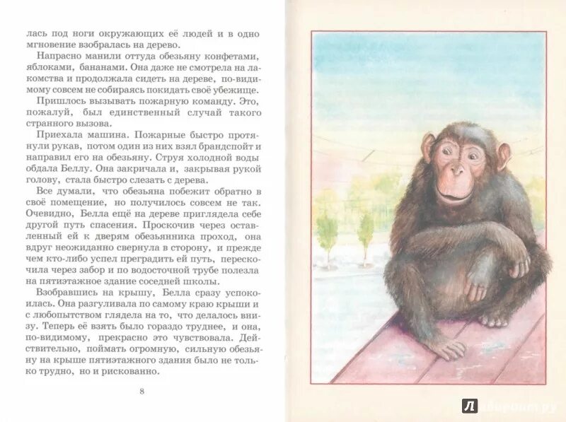Чаплина в зоопарке читательский дневник. Чаплина в зоопарке читательский дневник. Питомцы зоопарка. Чаплина в зоопарке читательский дневник. Чаплина в зоопарке читательский дневник.