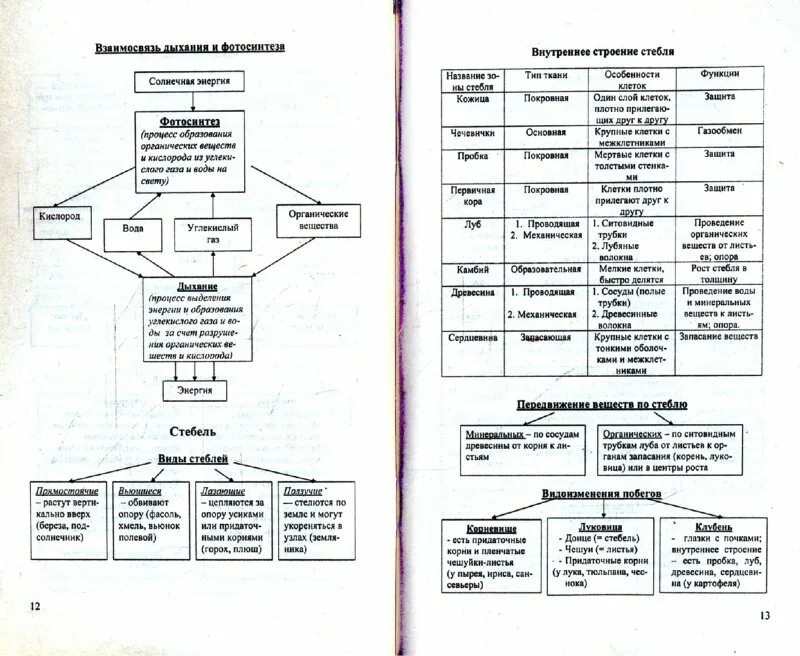 Биология ботаника в таблицах и схемах. ЕГЭ биология ботаника в схемах и таблицах. Схемы и таблицы по биологии для подготовки к ОГЭ. Биология 6 класс в таблицах и схемах. Шпоры по биологии огэ