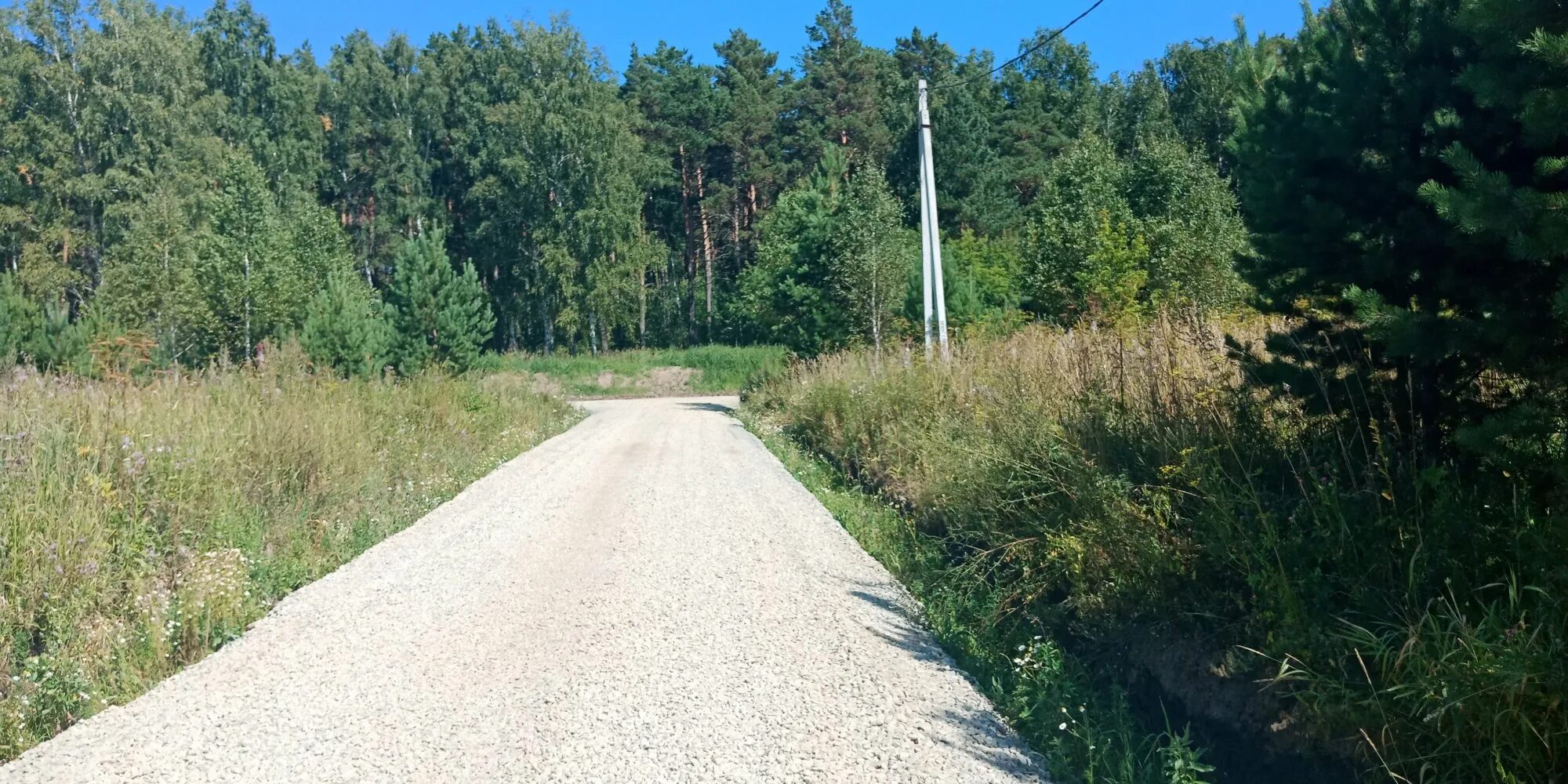 Дорога через снт. Софрино снт сосновая роща. отсыпка дорог снт. дороги в снт. снт сосны.