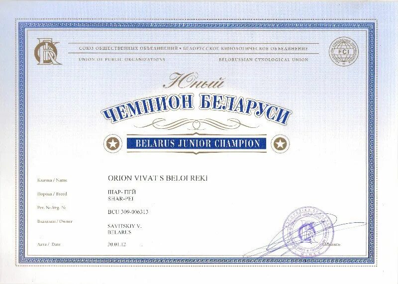 юный чемпион