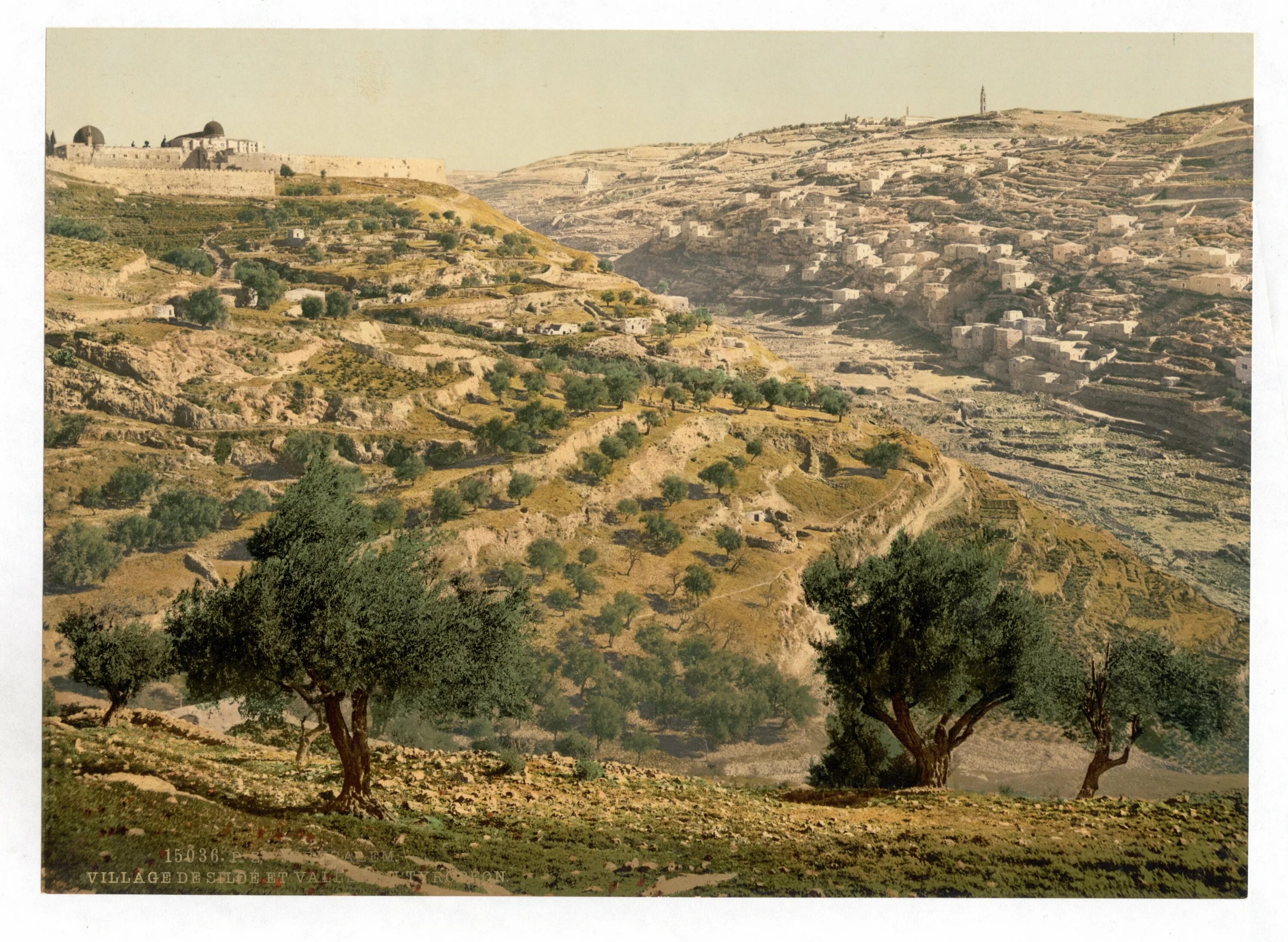Елеонская гора в Иерусалиме. Кедронская Долина в Иерусалиме. Долина Кедрон Палестина. Древняя Палестина Иерусалим.