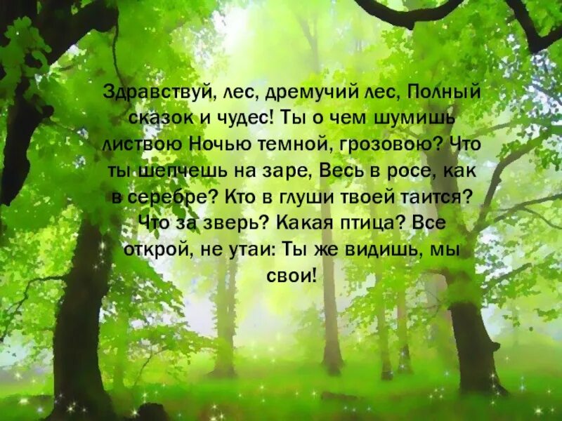 Стихи о лесе. Стихотворение про лес. Стихи о лесах. Стихотворение про лес для детей.