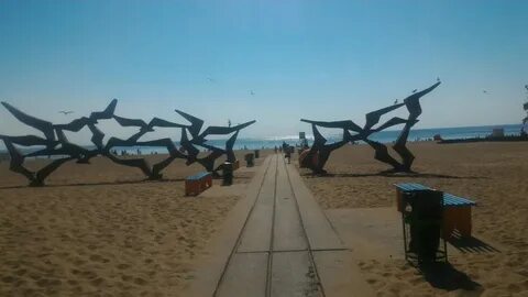 Погода солнечный санкт петербург