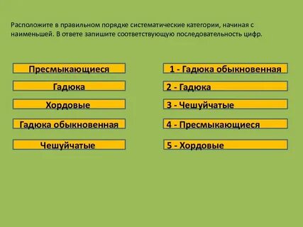 Последовательность систематических таксонов жаба