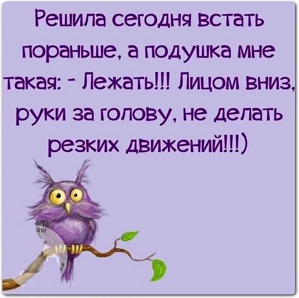 Картинка смешная про работу для поднятия настроения. Позитивные высказывания. Высказывания для поднятия настроения. Картинки для поднятия настроения коллеге. Веселое для поднятия настроения.