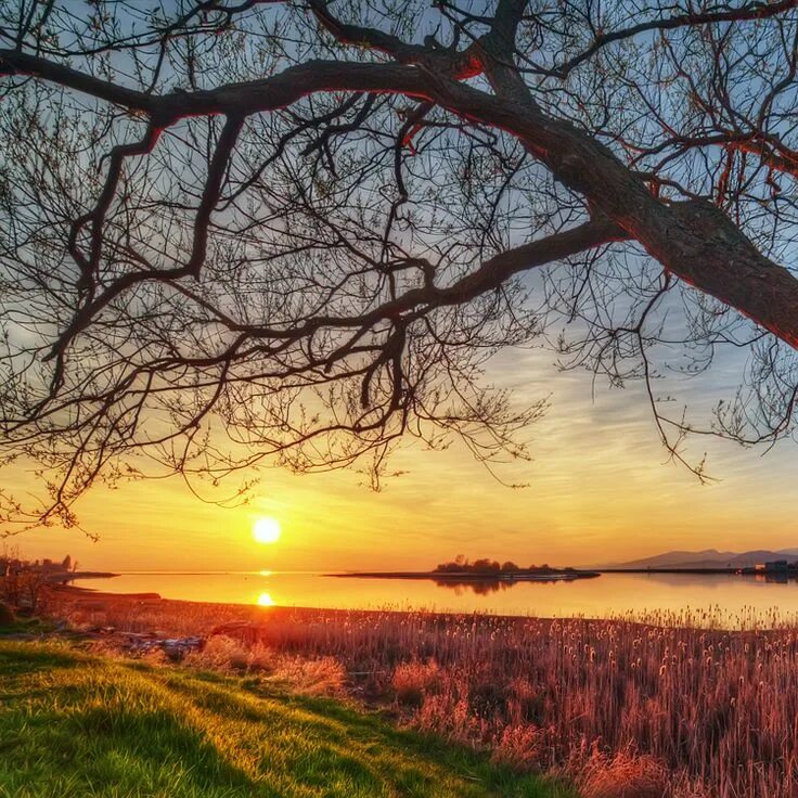 Nature is beauty. Рассвет солнца. Пейзаж заходящего солнца. Природа солнце. Пейзаж с солнцем.