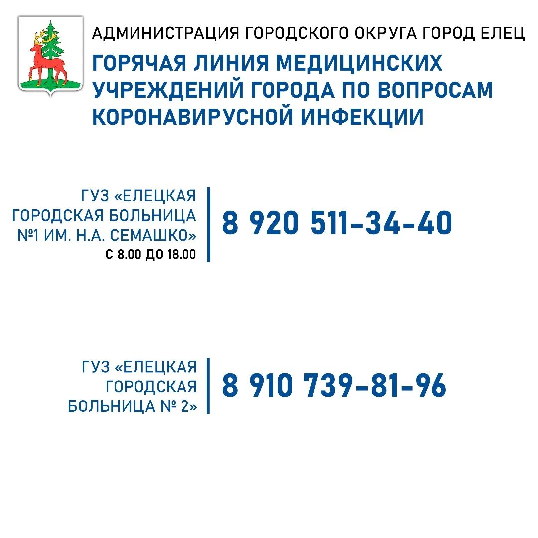 Горячая линия центр занятости населения. Центр занятости горячая линия бесплатный. Пенсионный фонд горячая линия. Горячая линия центра занятости населения России.