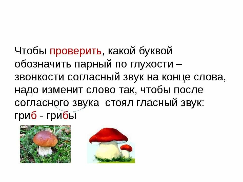 Парный согласный по глухости и звонкости как проверить. Парный по глухости звонкости согласный звук на конце. Парный по глухости звонкости согласный звук слова. Букву обозначающую парный по глухости-звонкости согласный звук.