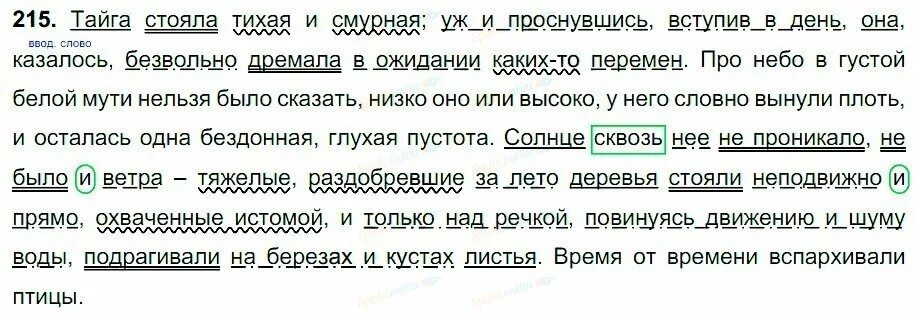 Я тихонько подхожу к дереву