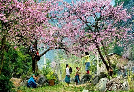 Flowers seasons