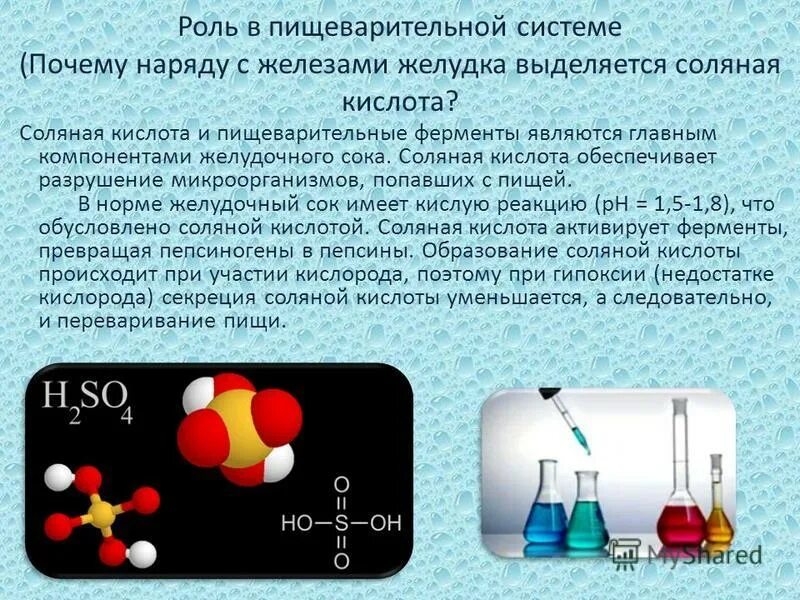 Слюна соляная кислота. Соляная кислота 1,18. Роль соляной кислоты в процессе пищеварения. Образование соляной кислоты.