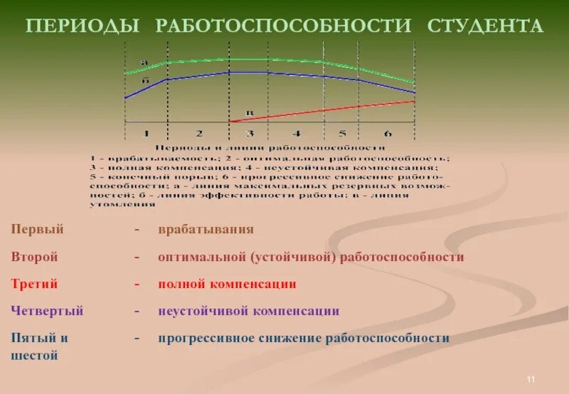 Периоды работоспособности студента. Динамика работоспособности студентов. Периоды снижения работоспособности. Динамика умственной работоспособности студентов. Изменение физической работоспособности