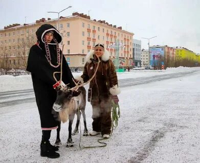 Северный назад