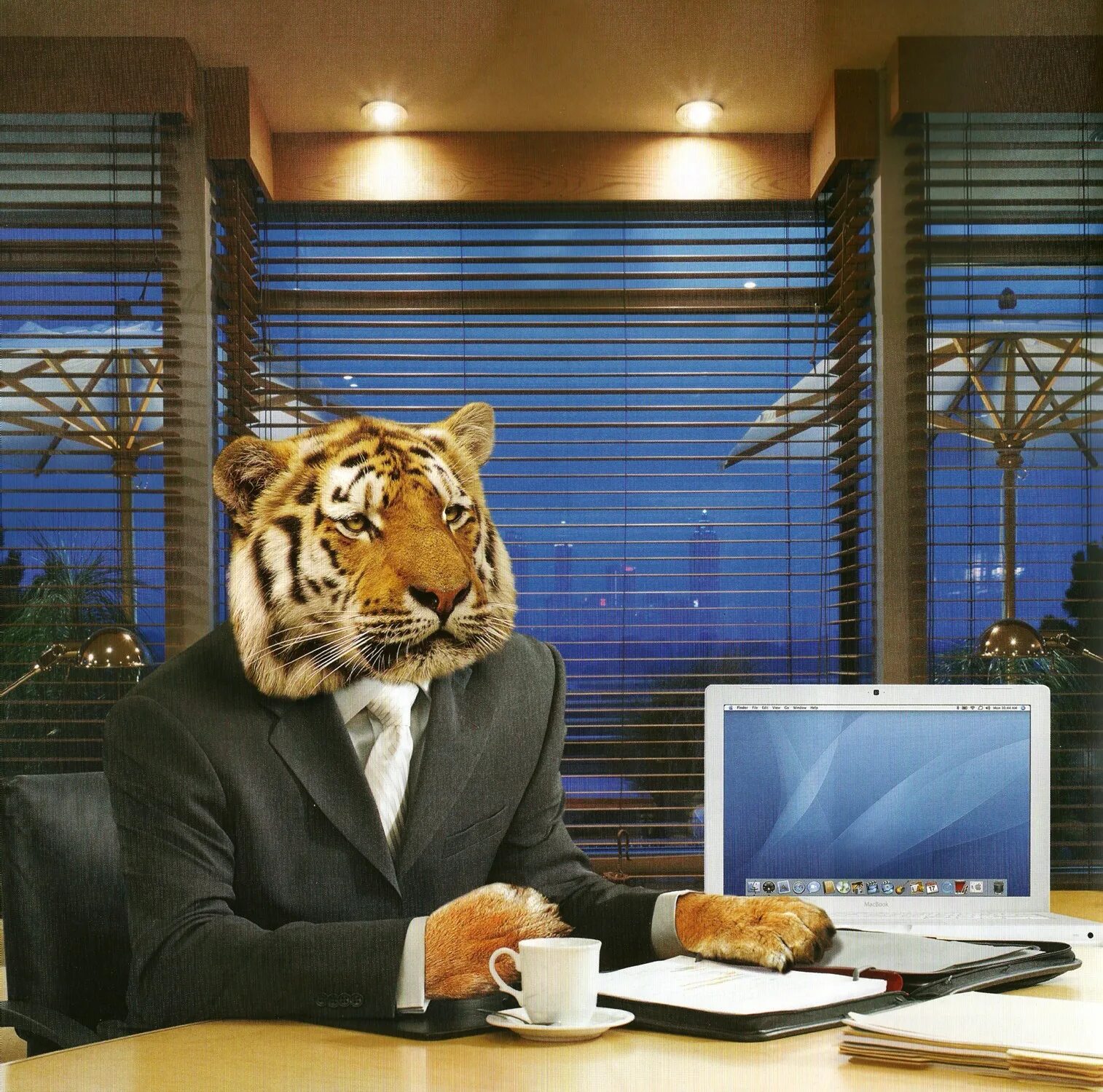 Деловой тигр. Тигр бизнесмен. Кот бизнесмен. Животные в офисе. Велотигр