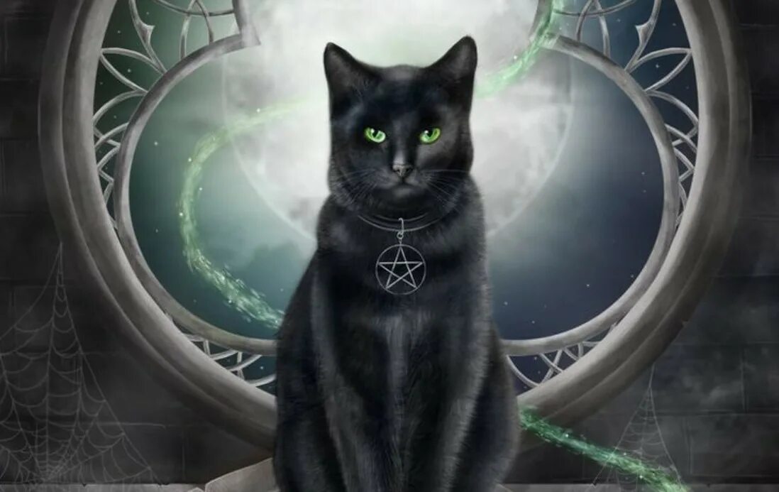 Фамильяр ведьмы кот. Мистические коты. Магический кот. Магический черный кот. Тайны черной кошки
