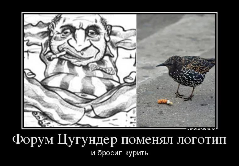 Цугундер. Цугундер форум. Бабы до цугундера. Взять за цугундер что это такое. Цугундер форум.