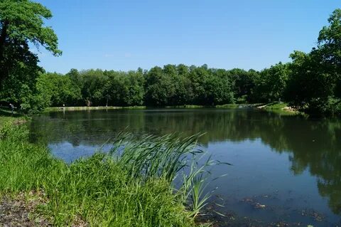 Село вязовка саратовская область