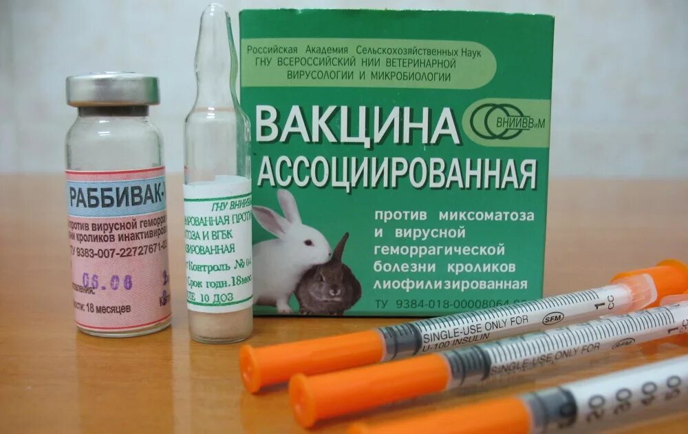 Вакцина против вгбк. Миксоматоз и ВГБК У кроликов вакцина. Вакцина для кроликов от миксоматоза и ВГБК. Вакцина от ВГБК для кроликов Раббивак. Схема вакцинации кроликов Раббивак.