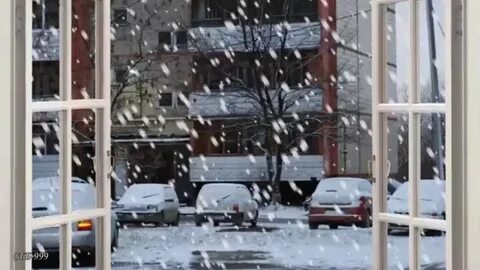 Тальков у твоего окна