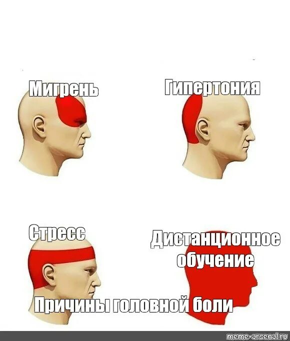 Мемы про головную боль. Пусть голова не болит картинки прикольные. Головная боль мем. У меня болит голова мем. Голова не знающая боли не голова.