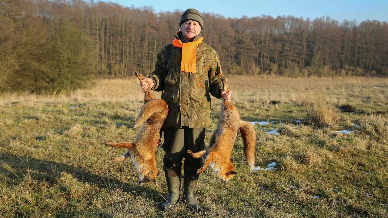 Fox hunting. Фокс Хантинг.