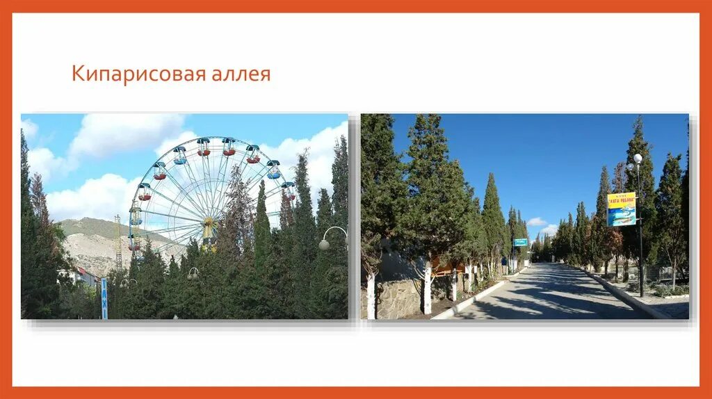 Судак кипарисовая аллея на карте. Кипарисовая аллея на карте. Аллея кипарисов судак. Судак крым кипарисовая аллея. Город судак на карте крыма.