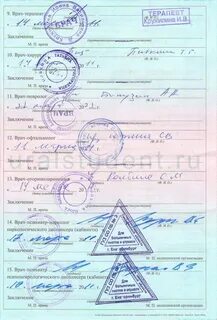 Каких специалистов проходят в 2 года