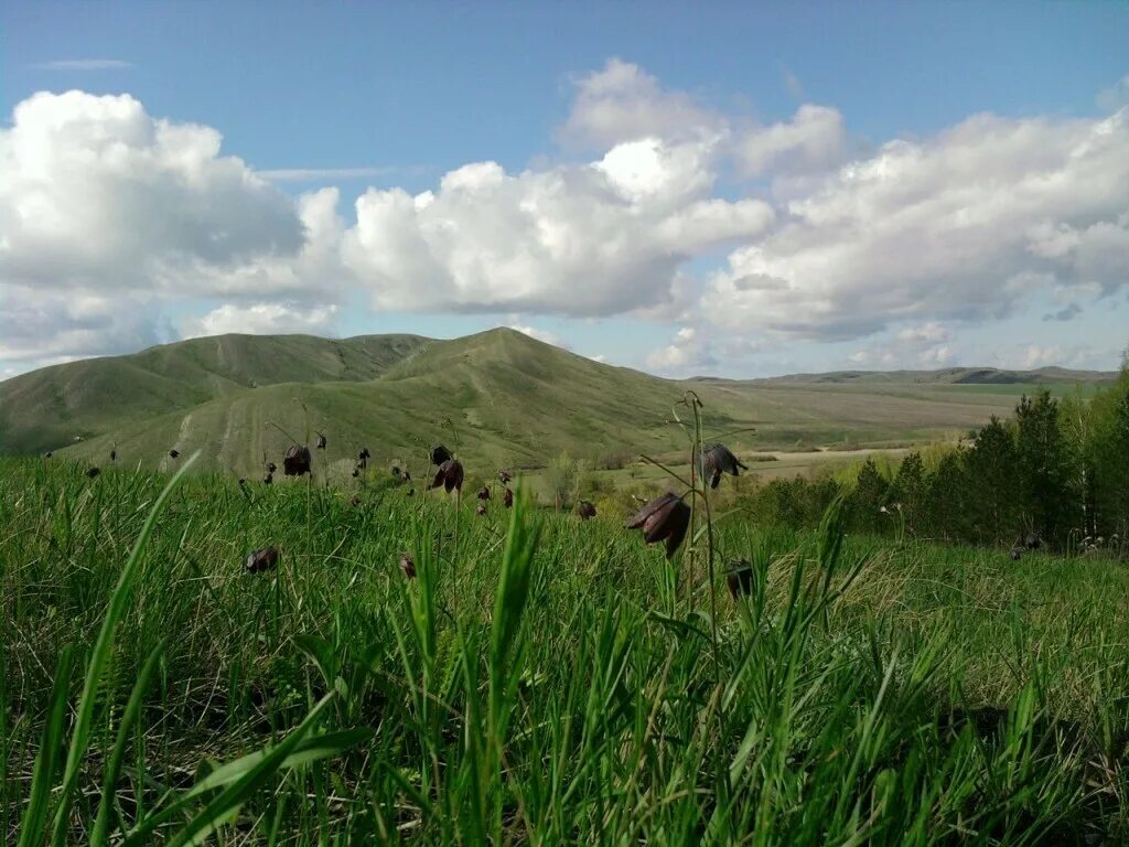 Башкирия зианчуринский район. Карадыган зианчуринский район. Зианчуринский район башкортостан. Зианчуринский р погода. Зианчуринский р погода.