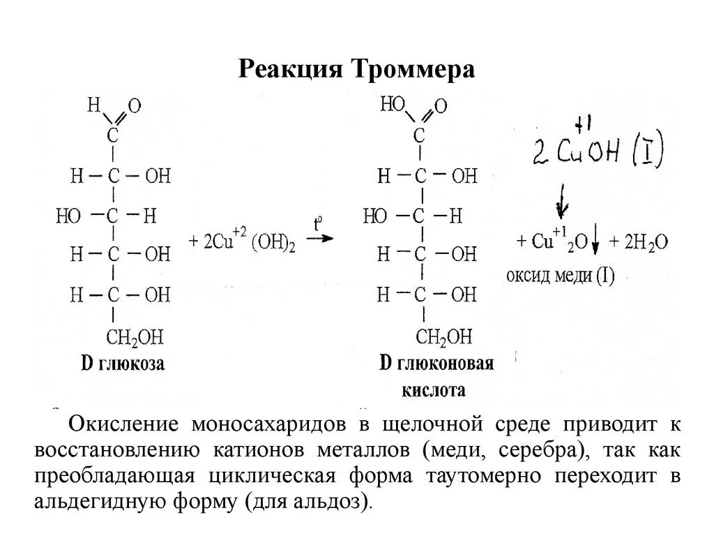 Реакция Троммера с глюкозой. Проба Троммера на глюкозу реакция. Уравнение химической реакции Троммера с глюкозой. Восстановление фруктозы в щелочной среде. Окисление глюкозы гидроксидом меди